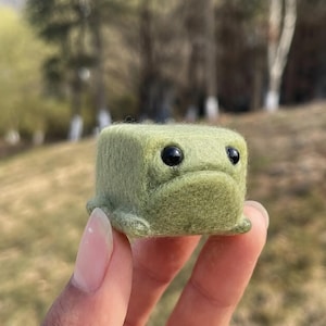 May include: A handmade, green felted frog figurine with a cube-shaped body and large, black eyes. The frog has a slightly sad expression and small feet. The background is blurred, suggesting an outdoor setting.