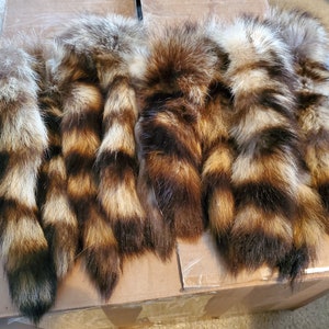 May include: Six raccoon tails with brown and black fur. The tails are arranged in a row on a brown surface.