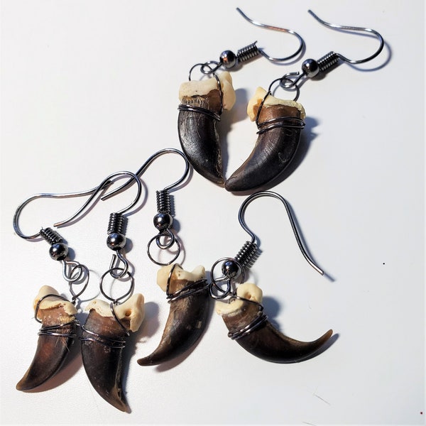 Real Coyote Claw Dangle Earrings, Barbarian, Viking, Witch, LARP, festival costume jewelry