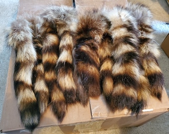 Real Raccoon Tail Taxidermy Keychain