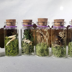 May include: Six small glass bottles with cork tops and purple rubber bands. Each bottle contains a different assortment of small bones, moss, and other natural elements.