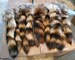 9' - 12' Real Raccoon Tail Keychain, Taxidermy Real Fur Festival Tails for Costume, Cosplay, LARP, or Bag Hanger 