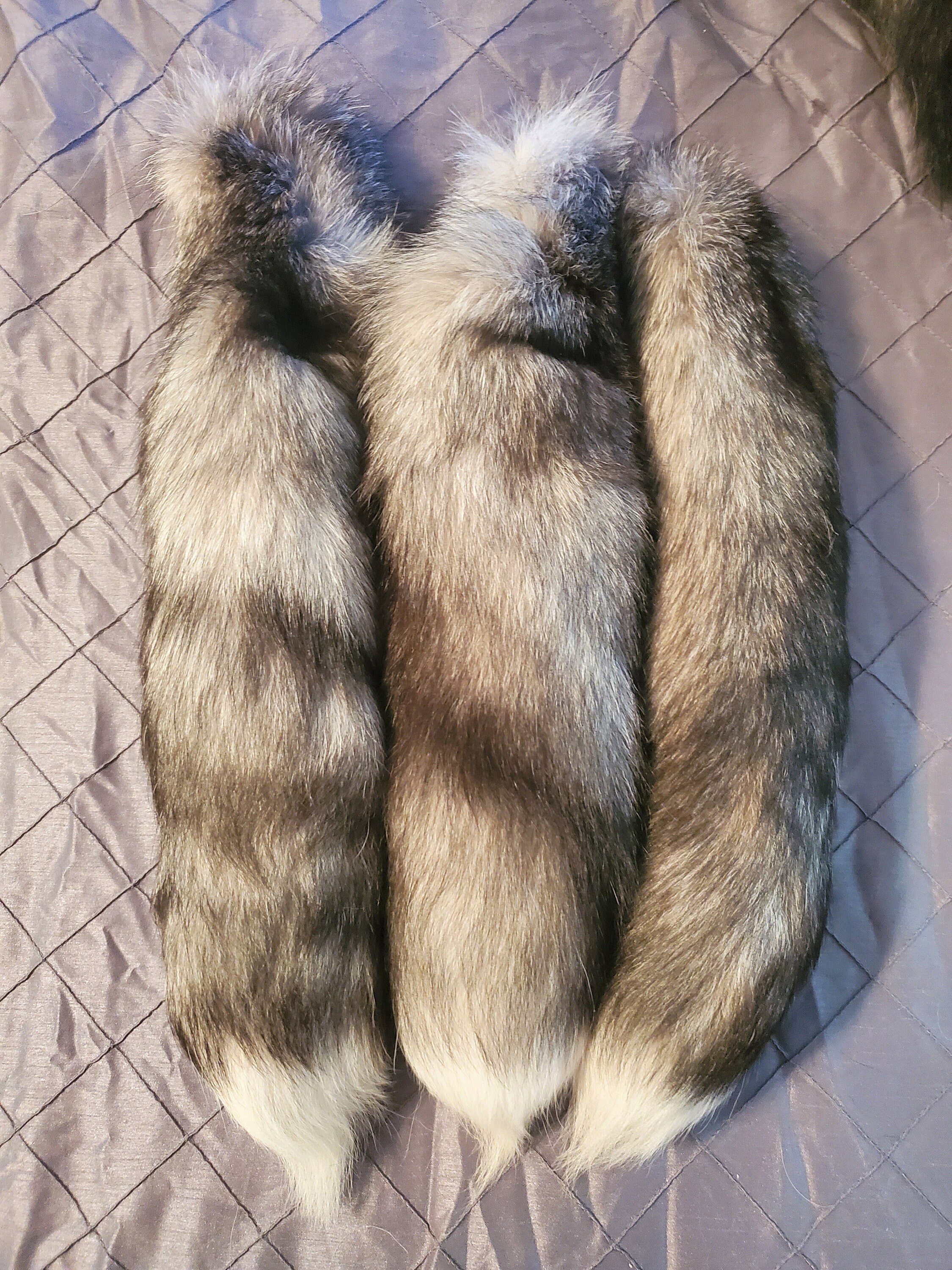 Real Indigo Fox Tails Super Soft and Furry Genuine Fur | Etsy