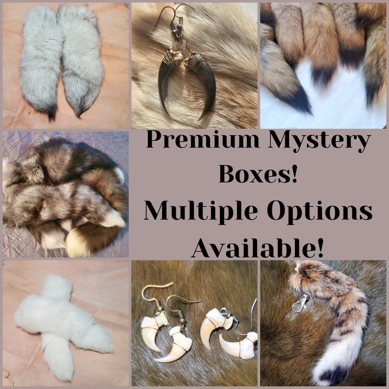 Premium Mystery Box - Taxidermy and Curisoties, Tail Keychains, Jewelry, and other Oddities 