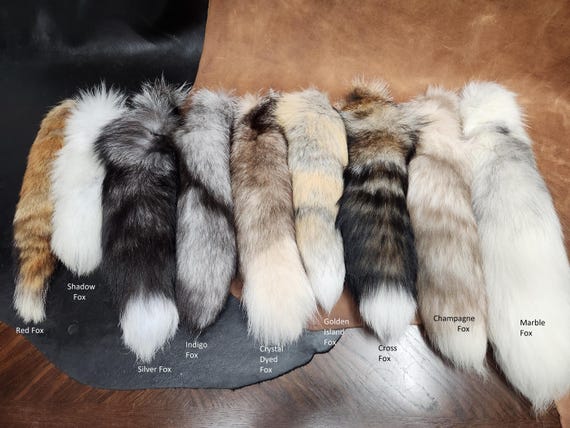 Fox Tail Keychains, Genuine Taxidermy Specialty Fox Fur - Etsy