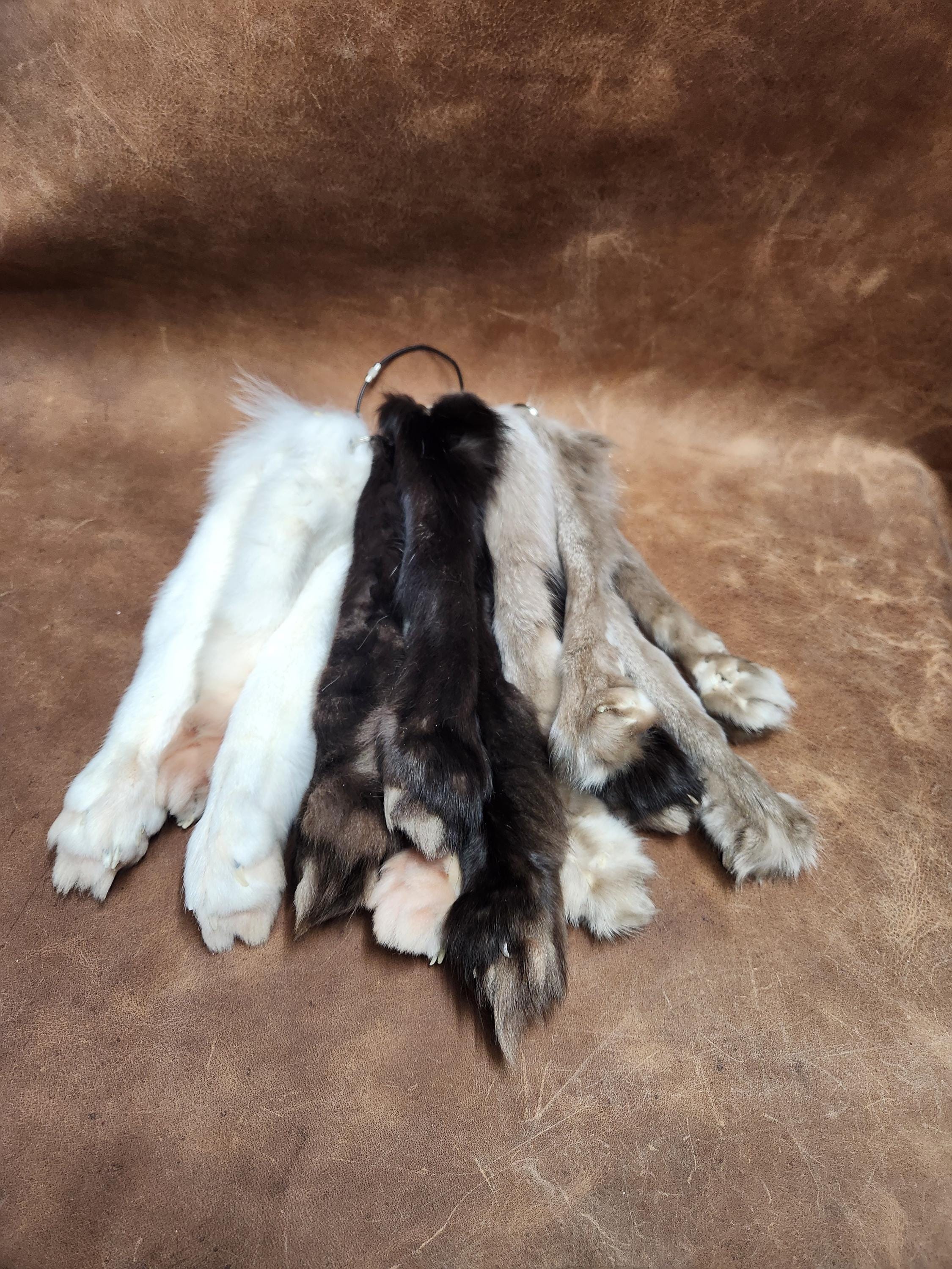 Fox Paw Keychain, Real Taxidermy Fox Foot - Etsy