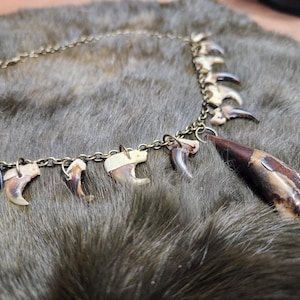 Buffalo Tooth, Bobcat Claw, and Coyote Claw 20&quot; Necklace with Bronze Findings