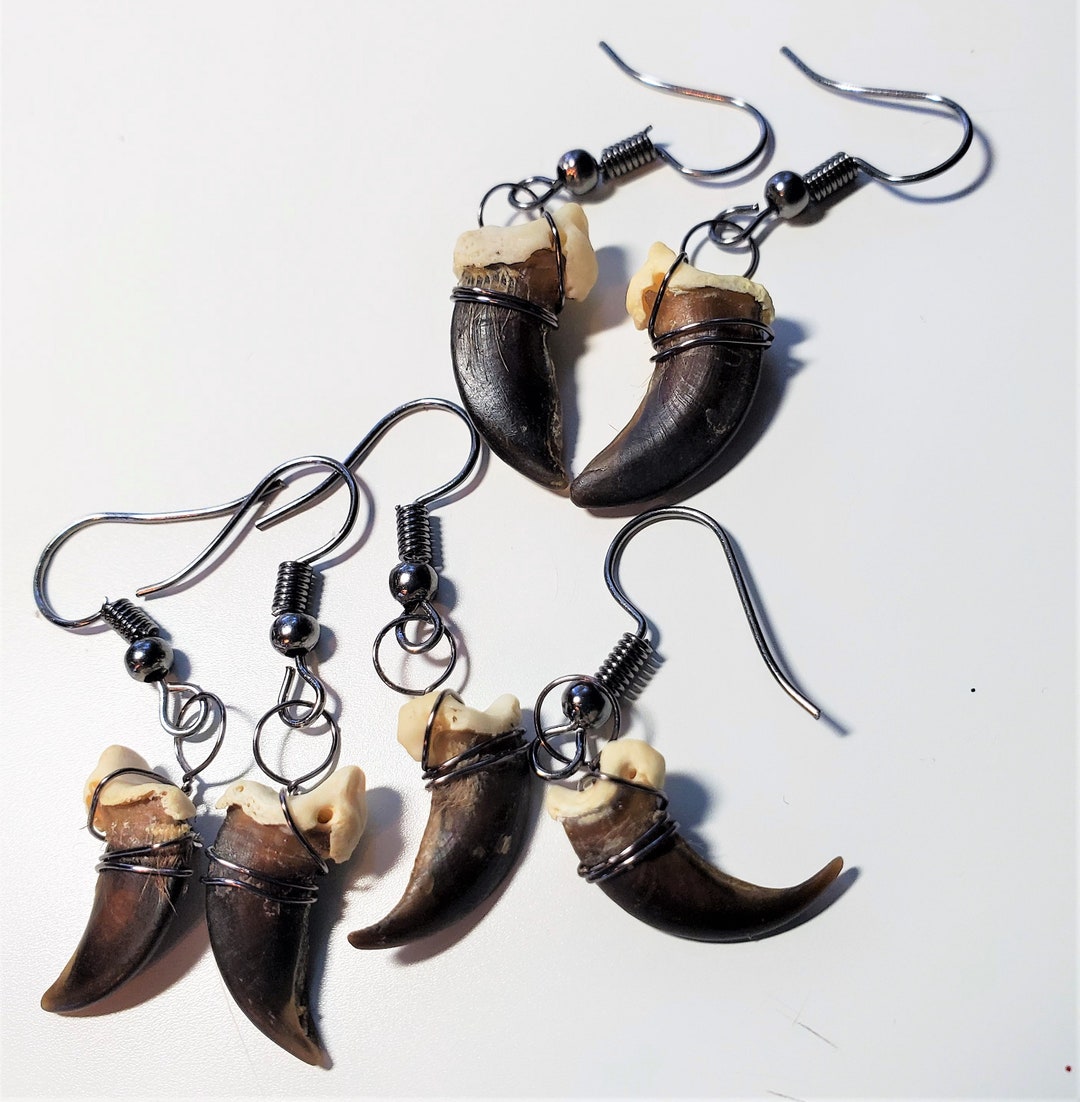 Real Coyote Claw Dangle Earrings Barbarian Viking Witch - Etsy