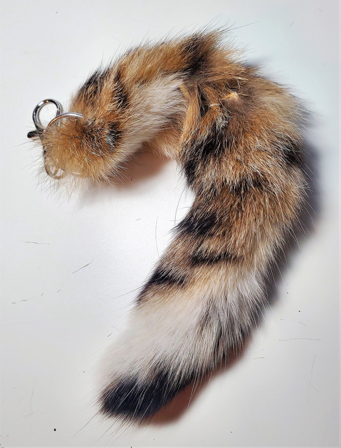 7 Bobcat Tail Keychain Real Fur Taxidermy Cat Tail Etsy