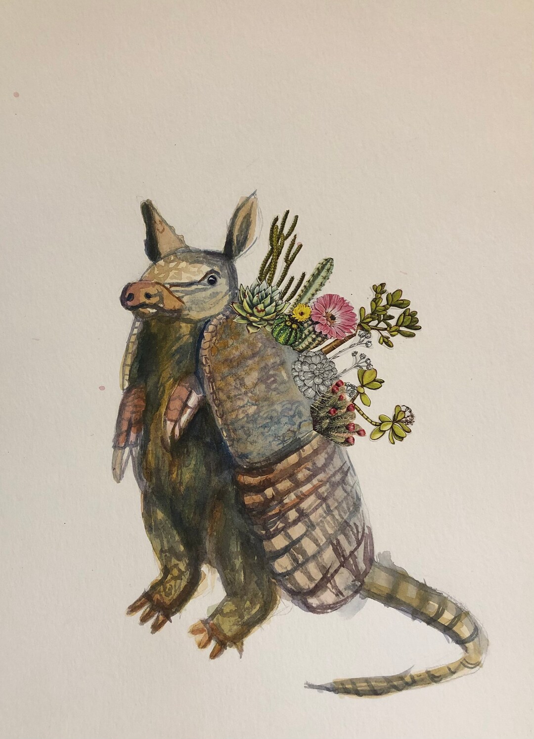 Armadillo With Flowers Etsy