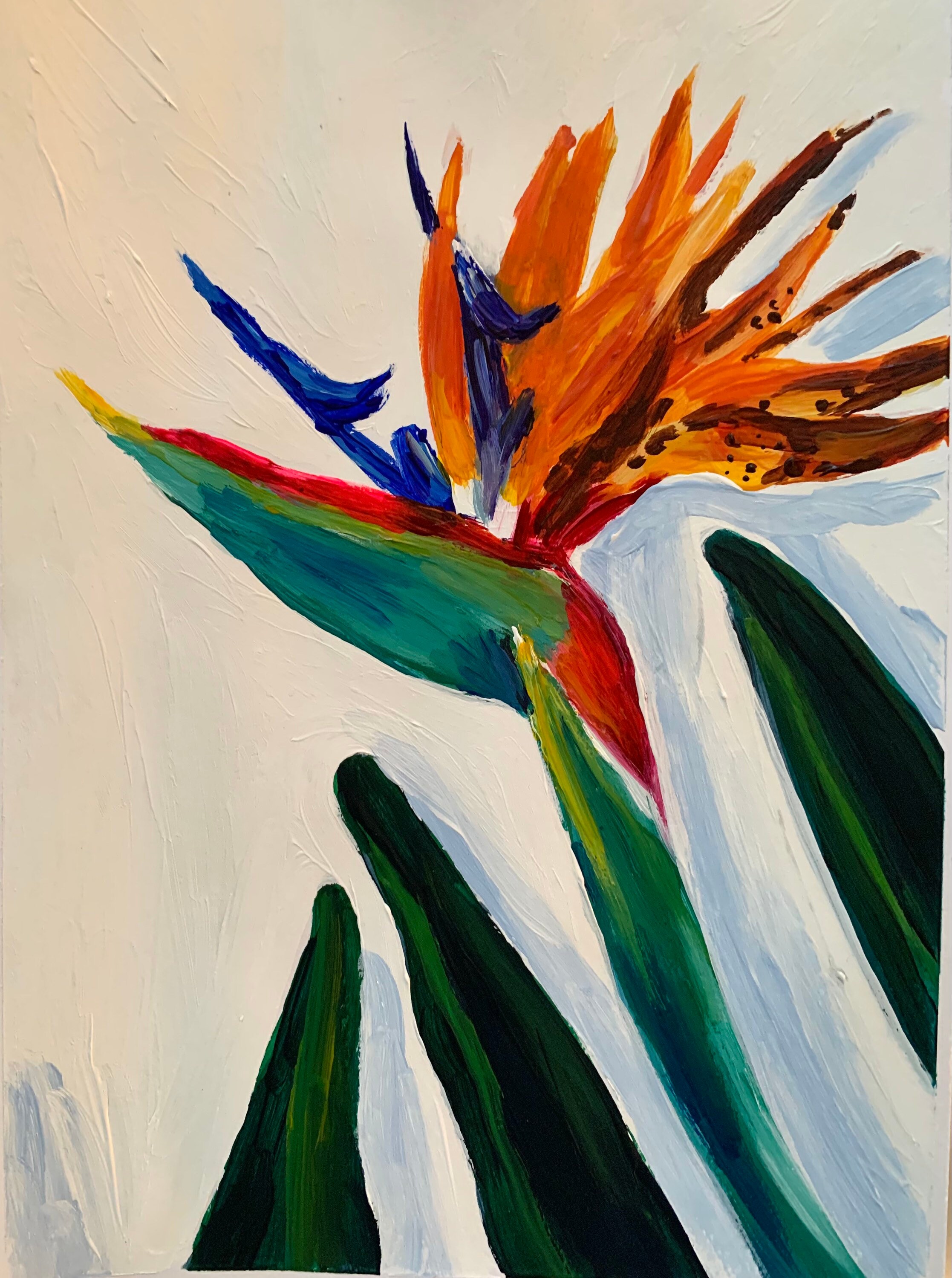 Bird of Paradise Etsy