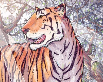 Spring Tigress Custom Nature Illustration Giclée Print