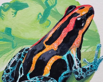 Poison Dart Frog Original Gouache Painting