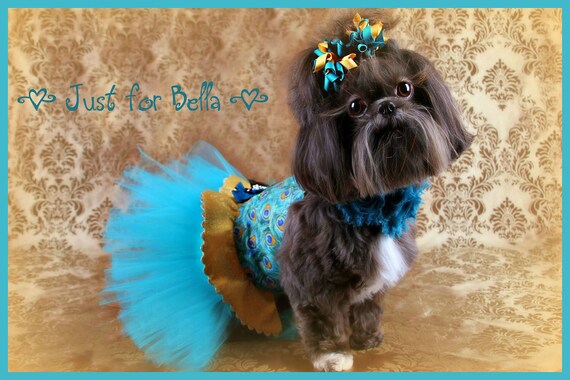 Peacock Party Dress