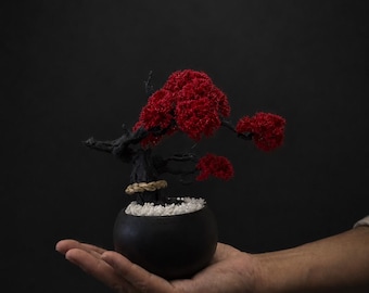 Made in Japan Miniature Bonsai Art - Handmade Zen Garden Decor with Torii Gate & Shimenawa, Shipped from Japan, Housewarming Japan Gift