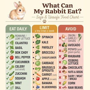May include: An educational chart titled What Can My Rabbit Eat? Safe & Unsafe Food Chart featuring a brown rabbit illustration. It lists foods to eat daily, limit, or avoid with icons and text. The bottom text reads A4 + US Letter - Instant Download.