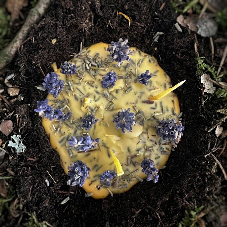 Lavender Earth Ritual Candle, Pure Beeswax Spell Candle, Botanical ...
