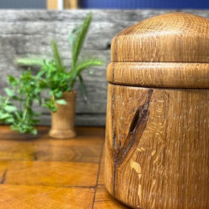 Op de afbeelding: Een cilindrische houten container met een afgerond deksel, gemaakt van lichtbruin eikenhout met een opvallende donkere houtnerf-knoop aan de zijkant. Het oppervlak vertoont een natuurlijke textuur met overal zichtbare houtnerfpatronen.
