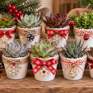 Peut inclure: Huit petits pots en céramique blanche contenant diverses plantes succulentes, chacun décoré de ficelle, de rubans rouges et d'ornements en bois comme des étoiles, des flocons et des cœurs. Les pots sont disposés sur une surface en bois.