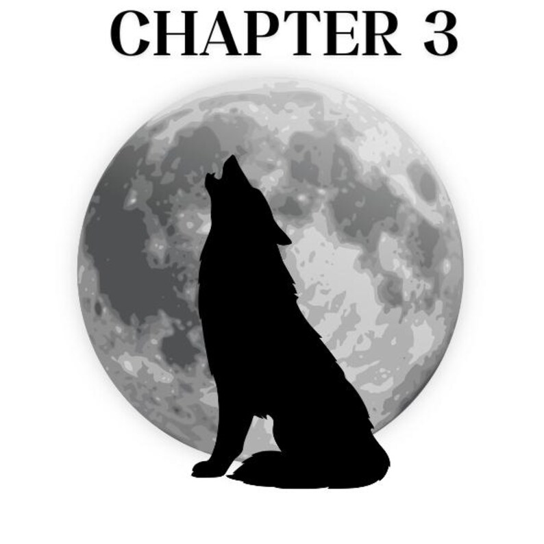 May include: A black silhouette of a wolf howling at a large, detailed gray moon. The text "CHAPTER 3" is printed in bold black capital letters above the moon. The entire graphic is set against a plain white background, creating a high contrast.