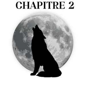 May include: A graphic illustration featuring a black silhouette of a wolf howling at a large, detailed grey full moon. Above the moon, the text CHAPITRE 2 is printed in a bold, black, serif font against a plain white background.