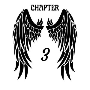 May include: A black graphic design featuring two symmetrical feathered wings positioned on either side of the number 3. The word CHAPTER is printed in a bold, stylised font above the number, creating a cohesive and balanced visual composition.