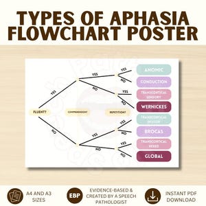 Flödesschema för afasityper, Wernickes, Brocas, lednings- och transkortikal afasi, SLP-studieposter, digital nedladdning av logopedi