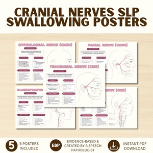 Può includere: Un set di cinque poster educativi intitolati CRANIAL NERVES SLP SWALLOWING POSTERS. Ogni poster presenta un diagramma di una testa umana con i nervi cranici evidenziati, inclusi i nervi ipoglosso, facciale, trigemino, glossofaringeo e vago.