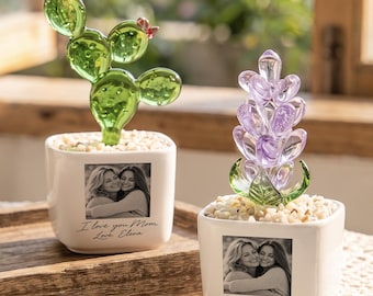 May include: Two white square ceramic planters filled with small stones, each featuring a black and white photo of two people hugging and the text "I love you Mom, Love Elena". One holds a green glass cactus, the other a purple glass flower.