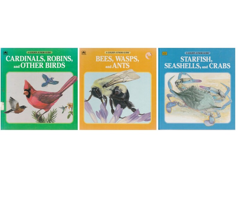 Lot Of 3 Children S Golden Junior Guide Books Starfish Etsy