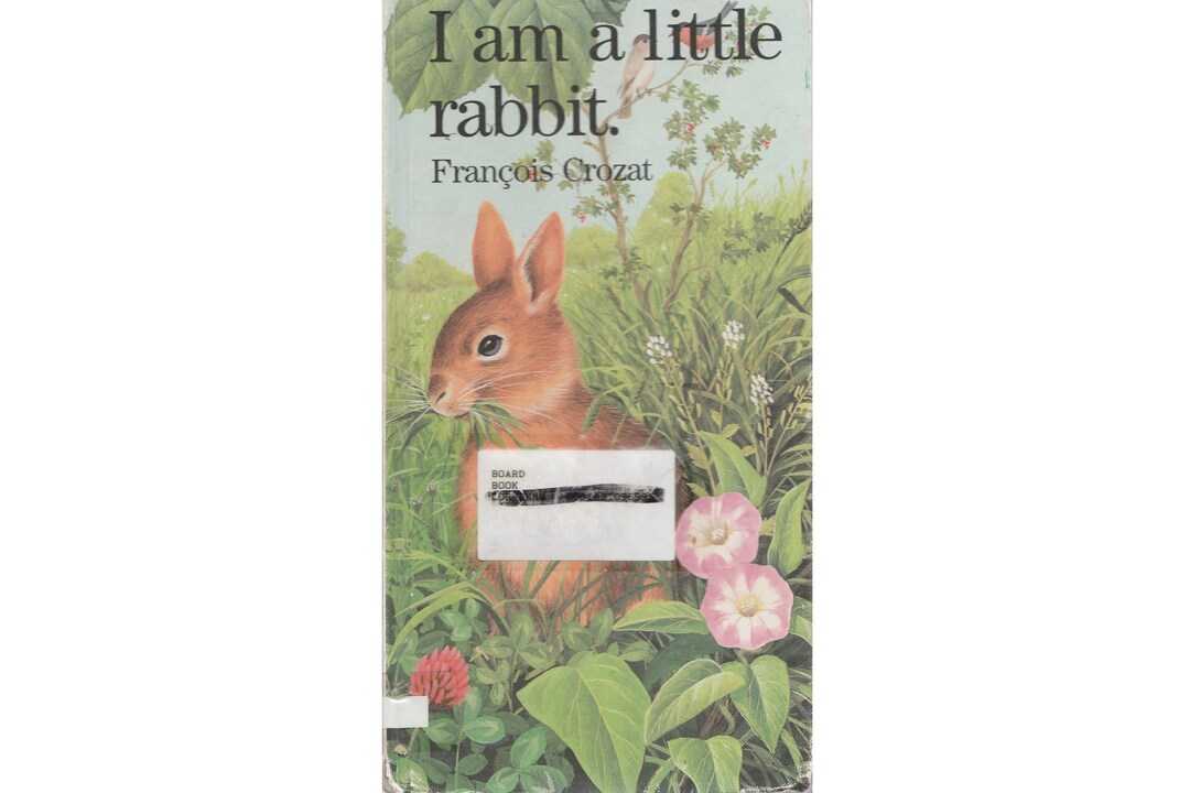 Vintage Childrens Bunny Wild Animal Baby Board Book I Am A Little ...