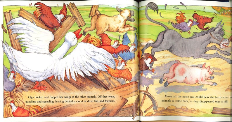 May include: A vibrant illustration from a children's book shows farm animals in a lively scene. A large white goose flaps its wings, surrounded by chickens and other animals running across a green field. The text reads, "Olga honked and flapped her wings..."
