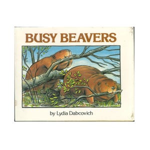 May include: A children's picture book titled BUSY BEAVERS by Lydia Dabcovich. The cover features a color illustration of two brown beavers in a grassy area, with one beaver gnawing on a tree branch and the other holding a branch in its mouth.