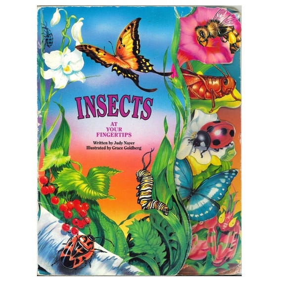 vintage preschool childrens bug facts nature study science board book Insects At Your Fingertips
