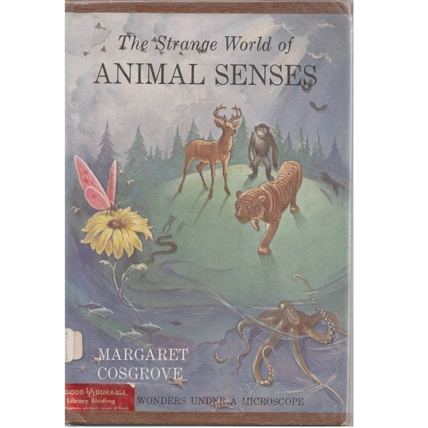 vintage childrens nonfiction nature study book The Strange World of Animal Senses, five senses, animal adaptations, homeschool science book