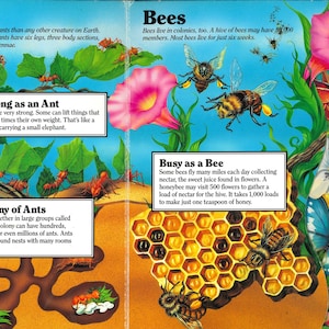 May include: A colorful educational book spread featuring illustrations of ants and bees. The left side shows red ants in a tunnel system with text boxes titled Ants, Strong as an Ant, and A Colony of Ants. The right side displays bees, a honeycomb, and other insects with text boxes titled Bees and Busy as a Bee.