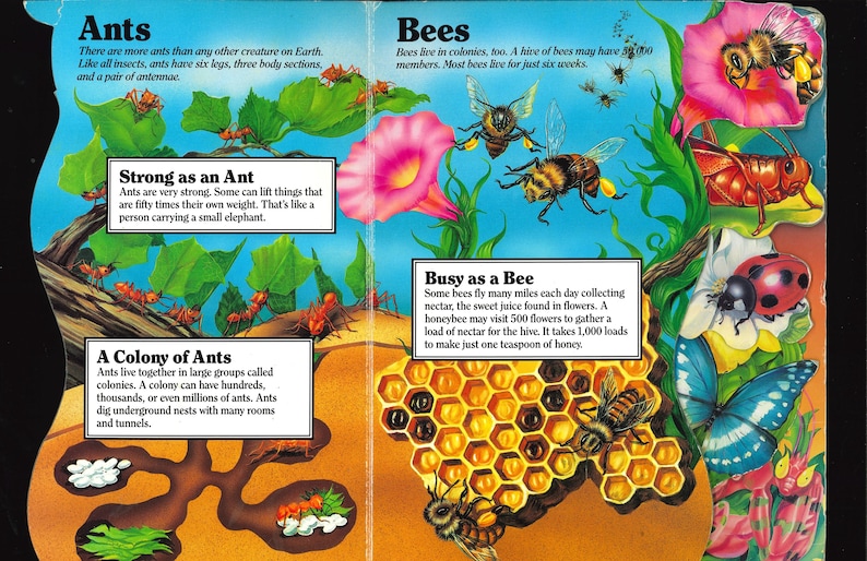 May include: A colorful educational book spread featuring illustrations of ants and bees. The left side shows red ants in a tunnel system with text boxes titled Ants, Strong as an Ant, and A Colony of Ants. The right side displays bees, a honeycomb, and other insects with text boxes titled Bees and Busy as a Bee.