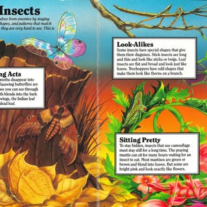 May include: A colorful educational book page titled Hidden Insects featuring illustrations of butterflies, moths, stick insects, and mantises. The text explains camouflage with sections on Disappearing Acts, Look-Alikes, and Sitting Pretty.