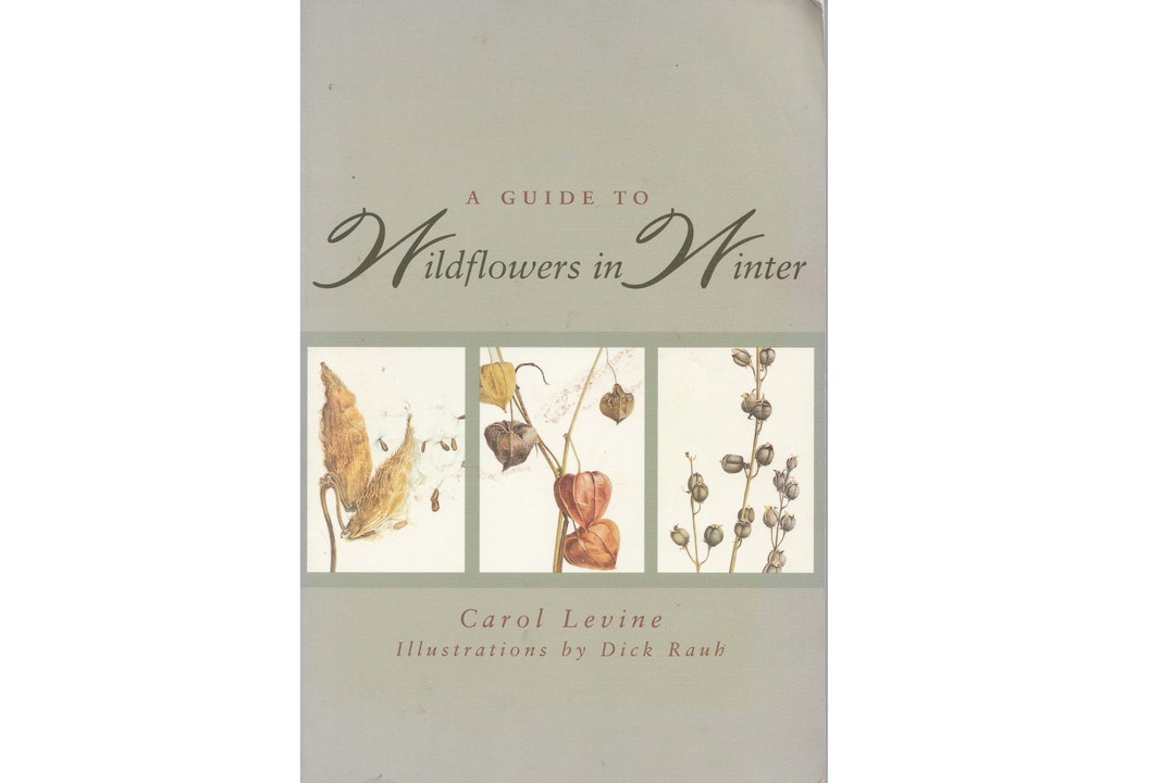 Vintage Wildflower Field Guide A Guide to Wildflowers in Winter by