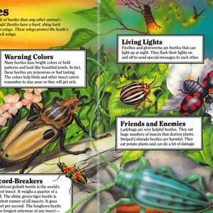 May include: A colorful educational book page titled Beetles featuring illustrations of various insects including ladybugs, a striped Colorado beetle, and a large African goliath beetle. Text boxes provide facts about beetle biology, warning colors, and light.