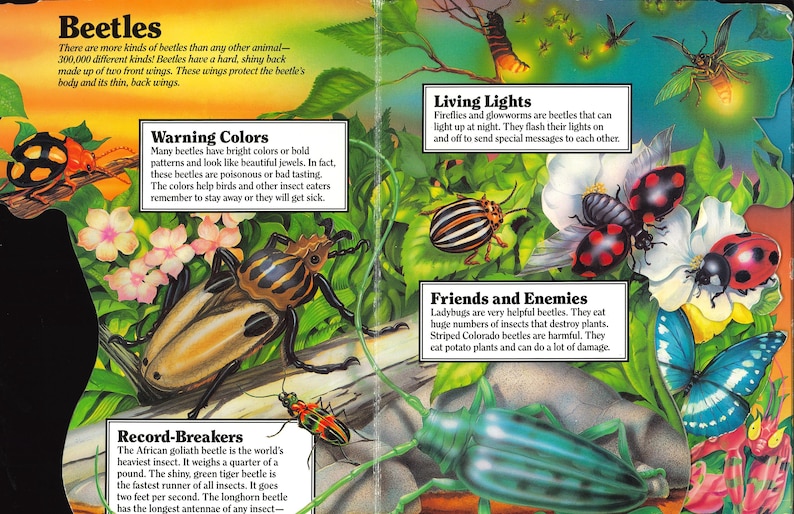 May include: A colorful educational book page titled Beetles featuring illustrations of various insects including ladybugs, a striped Colorado beetle, and a large African goliath beetle. Text boxes provide facts about beetle biology, warning colors, and light.