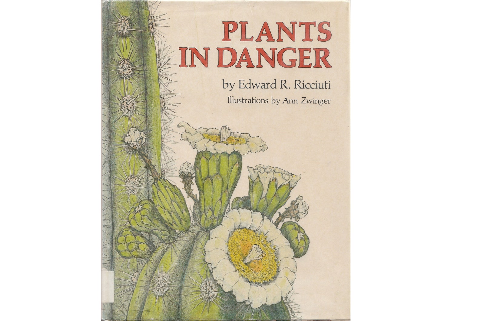 Книга plants. Books and Plants. Книжка all Plants. The Plant книга. Дух растений книга.