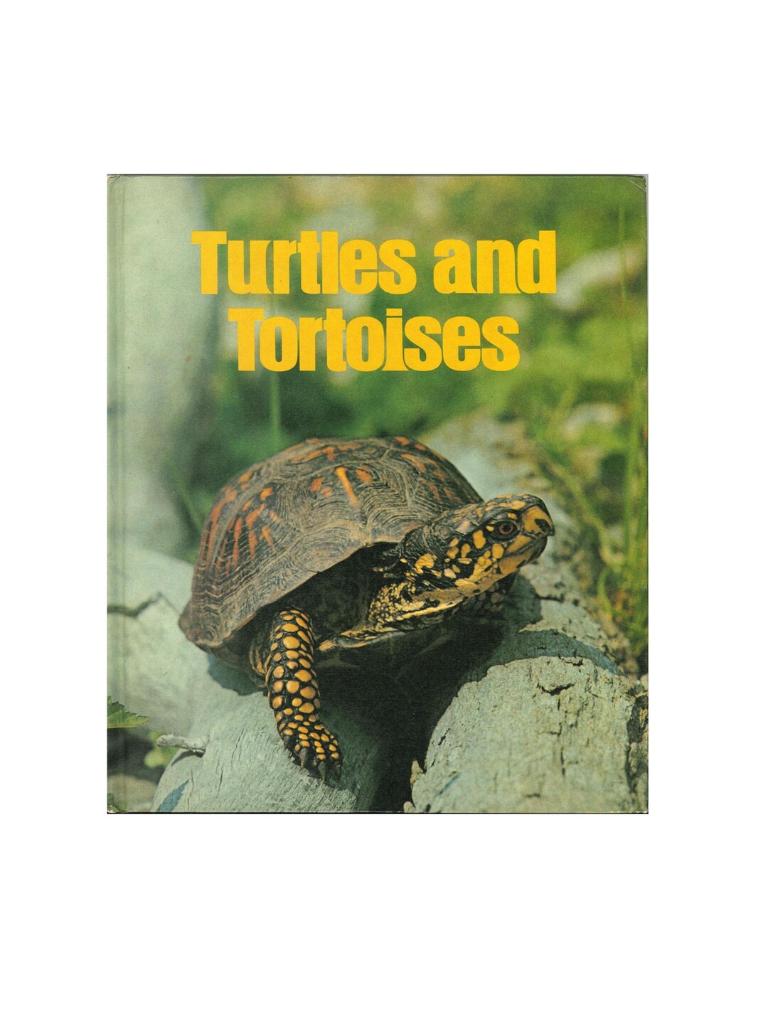 Vintage Ranger Rick's Turtle & Tortoise Book: 1970s Children's Nature ...
