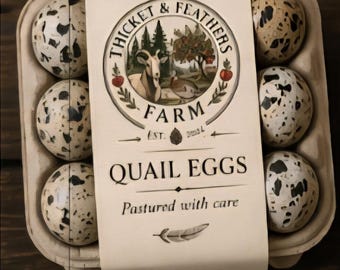 Coturnix Quail Eggs for culinary cooking and nutritious snacks