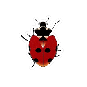 Red Ladybug Illustration Kiss-Cut Vinyl Decal | Cute Bug Sticker
