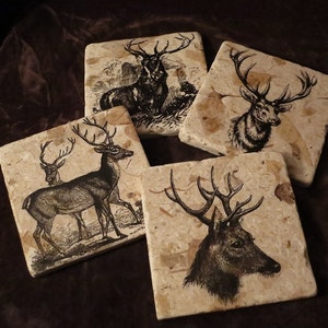 May include: Set of four square coasters featuring black and white illustrations of deer on a beige background.