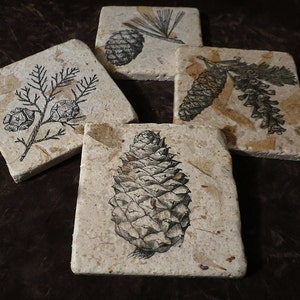 May include: Four square coasters with natural stone appearance. Each coaster features a different black and white botanical illustration of pine cones and branches. The coasters are arranged on a dark brown surface.