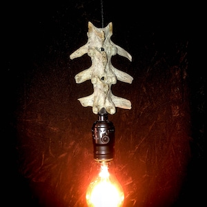 Hanging Spine Real Bone Lamp - Vintage Edison style light - One of a kind