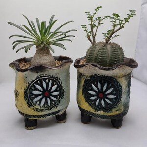 Set van 2 handgemaakte Koreaanse keramische plantenpotten met chrysantenmotief, succulentenpotten op pootjes.