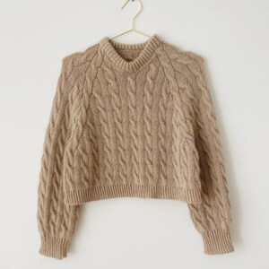 Può includere: Un maglione a trecce color marrone chiaro con scollo rotondo, maniche lunghe e orlo corto. Il capo presenta una trama intrecciata verticale sul davanti e sulle maniche, rifinito con polsini a coste e un colletto a coste.